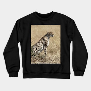 Looking About Crewneck Sweatshirt